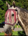 /album/fotogaleria-strapce-proti-mucham-monaco/fr%c4%99dzelki-fp-monaco-hnedoruzova-cob-p-muchom-jpg1/